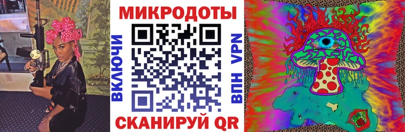 как найти закладки  Новомичуринск  Галлюциногенные грибы Psilocybe 