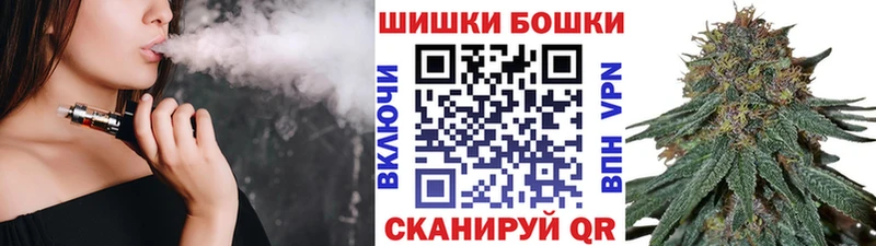 Конопля сатива  Новомичуринск 